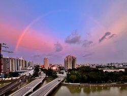 The Riverine By The Park (D12), Apartment #582352641